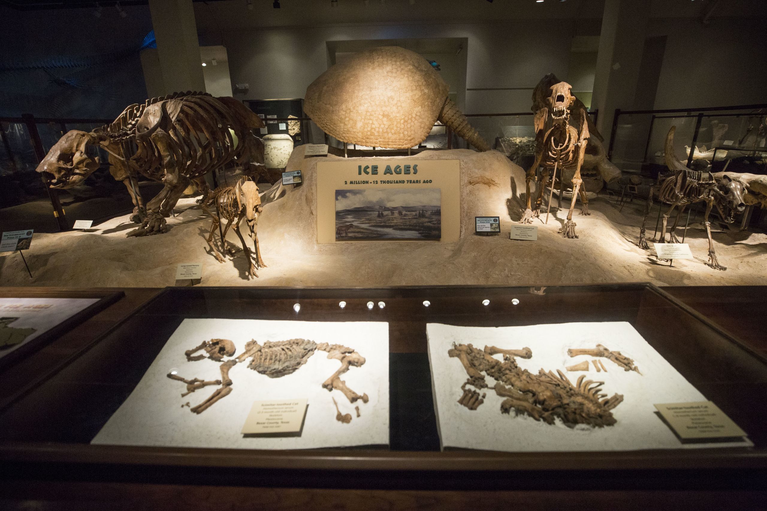 What Ancient Teeth In Cave Can Tell Us About The Bronze Age Collapse