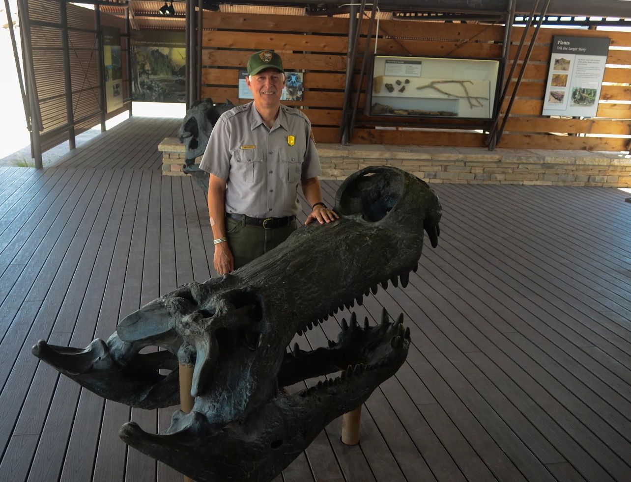 Deinosuchus riograndensis skull cast